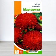 Насіння айстри карликової Маргарита червона, 0,3г, ТМ Яскрава